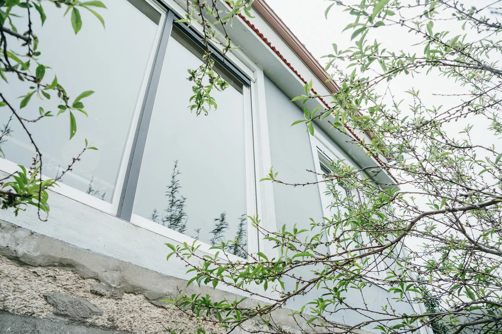 Stuga i Priegue – Artists' Hideaway by the Sea – photo 14