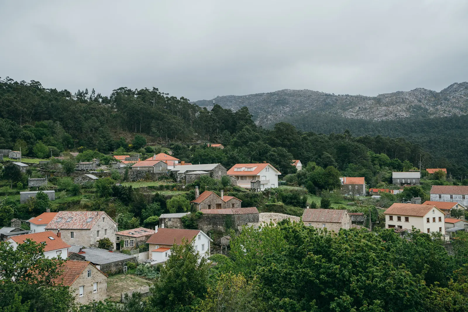 Stuga i Priegue – Artists' Hideaway by the Sea – photo 11