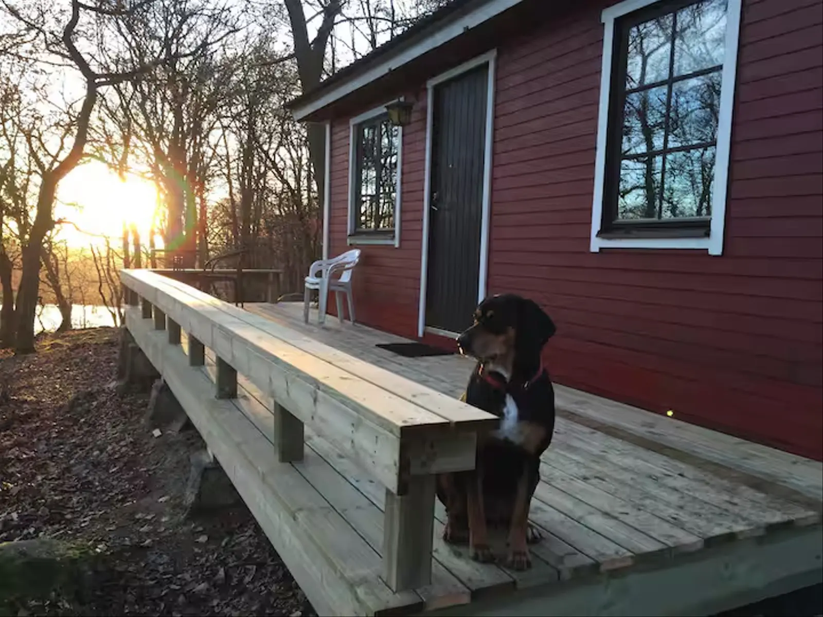 Glamping i Veberöd – Cozy cabin with tranquil pond and sauna access