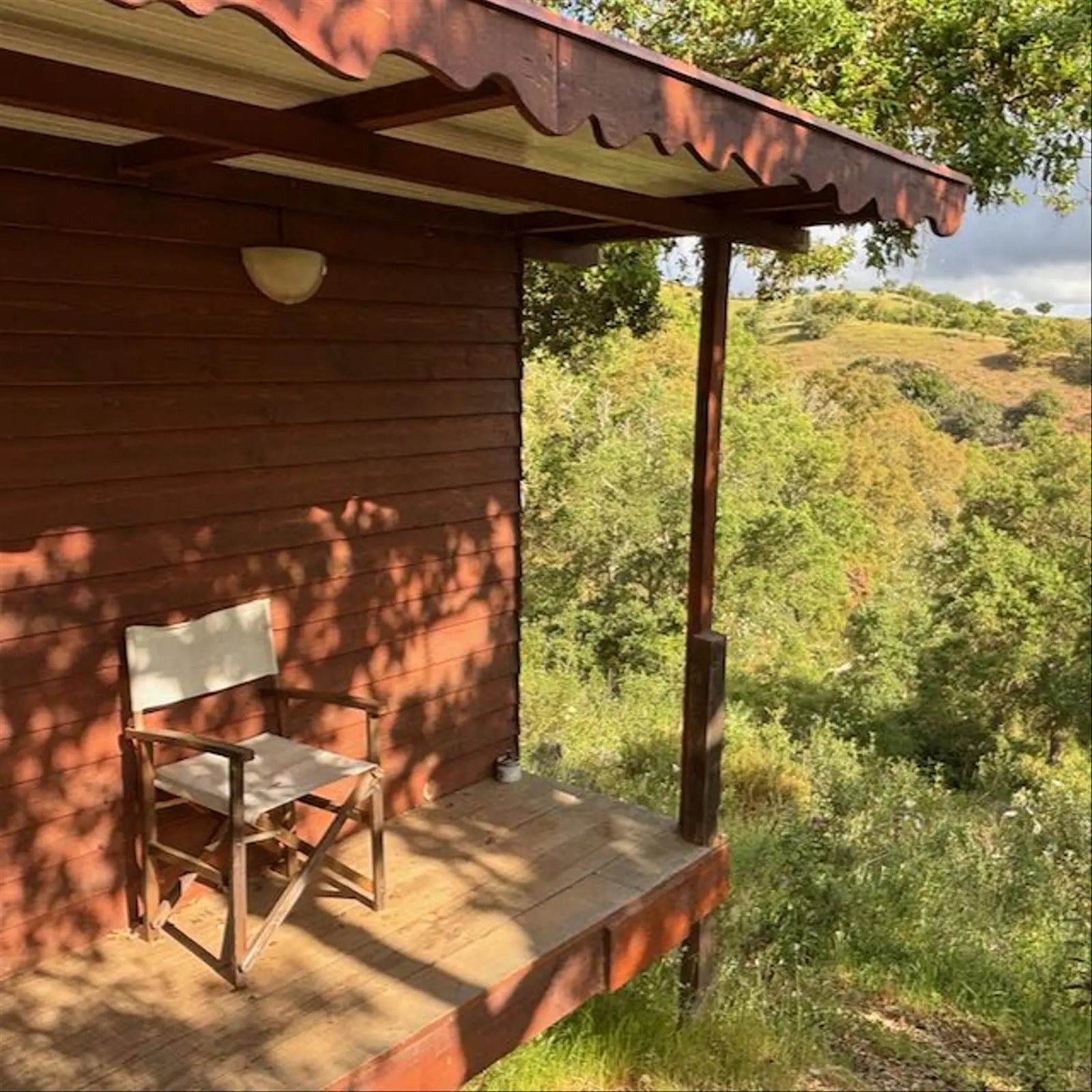 Glamping i Odemira – The Zendo East