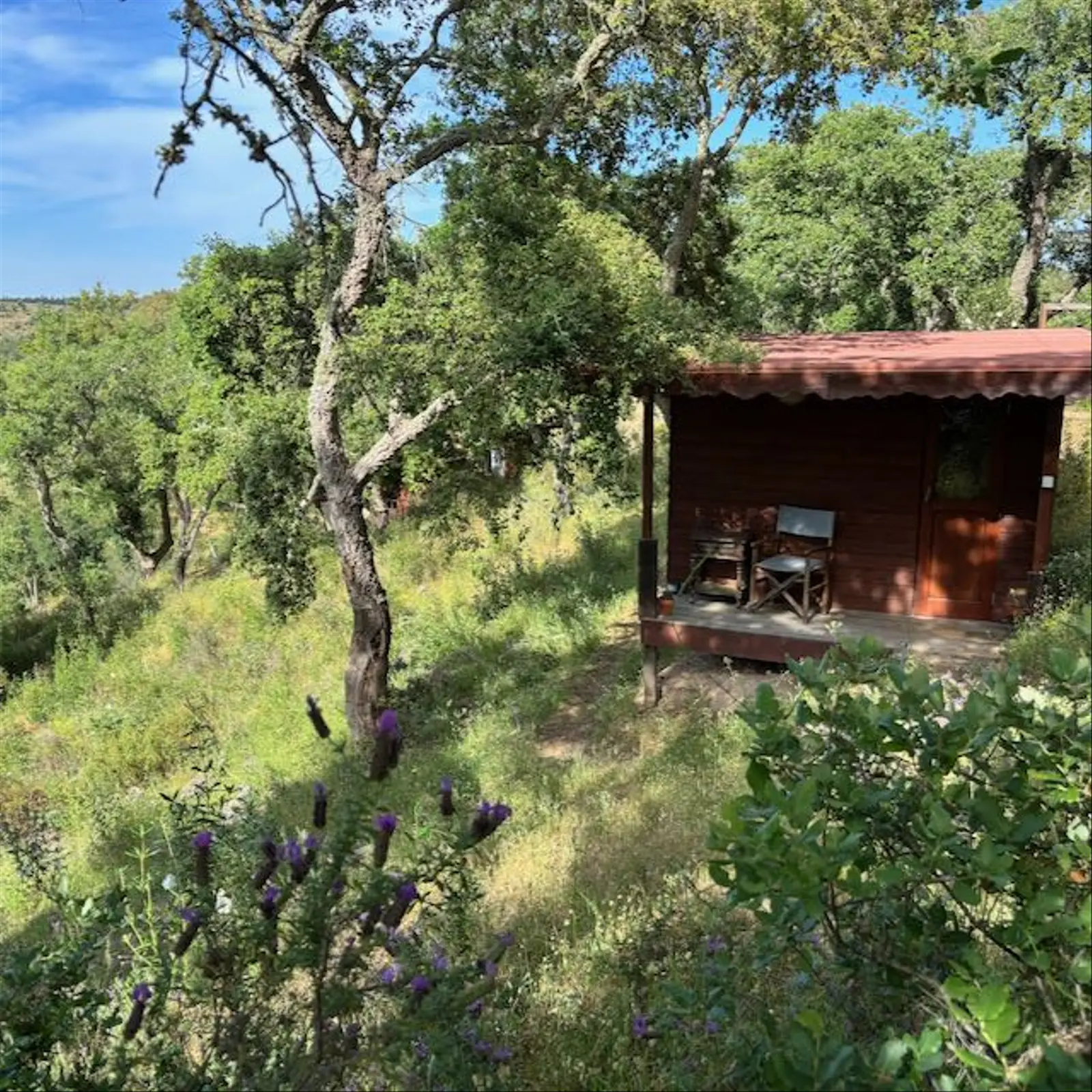 Glamping i Odemira – The Zendo West