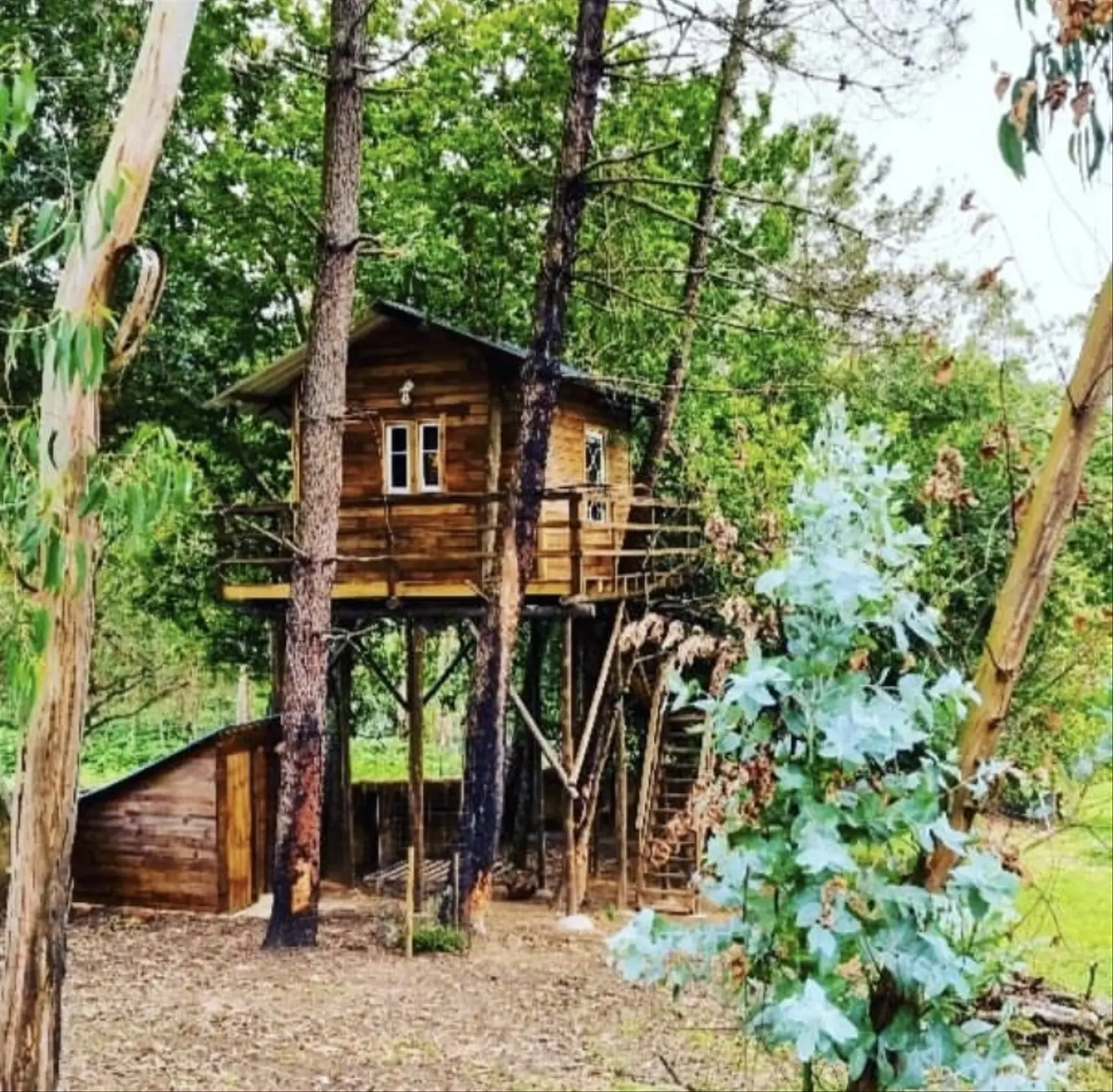 campspace_types.deserted i Albergaria-a-Velha – Tree House Alameda - Vale da Silva Villas/Adults Only