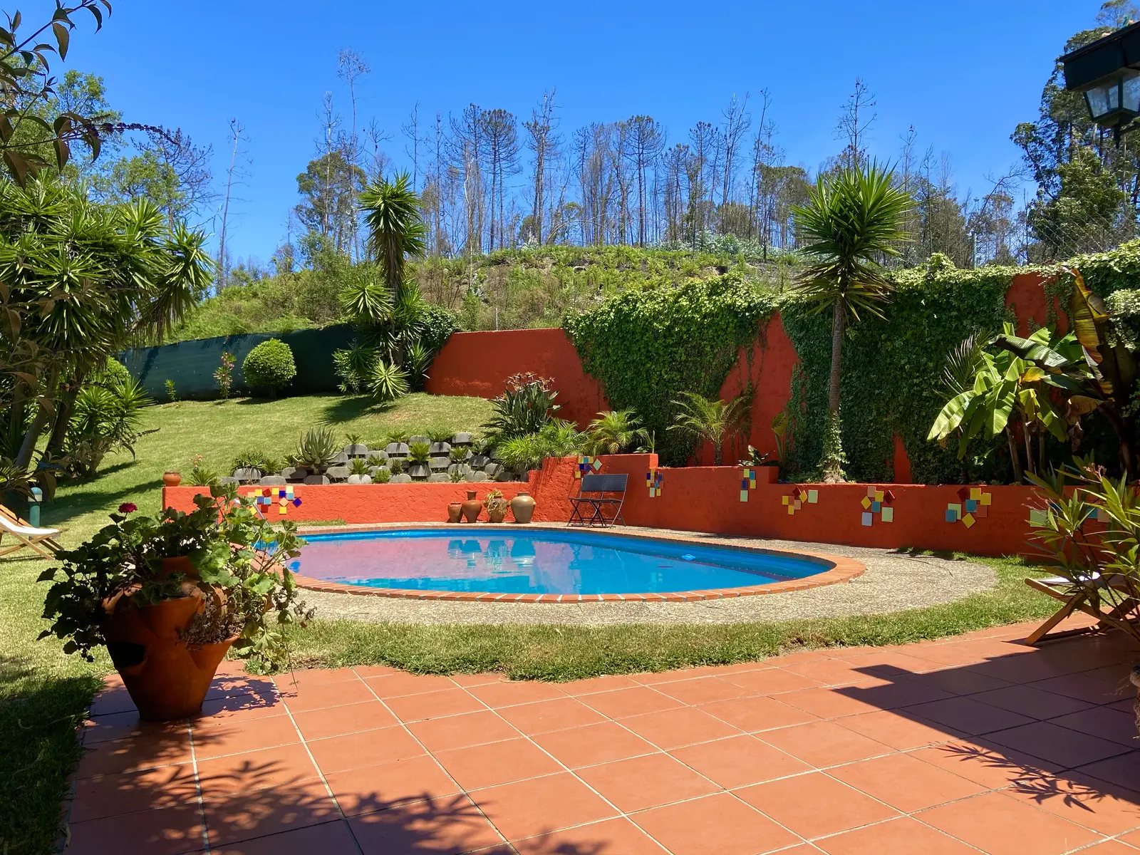 Boomhut i Albergaria-a-Velha – Tree House Alameda - Vale da Silva Villas/Adults Only – photo 23