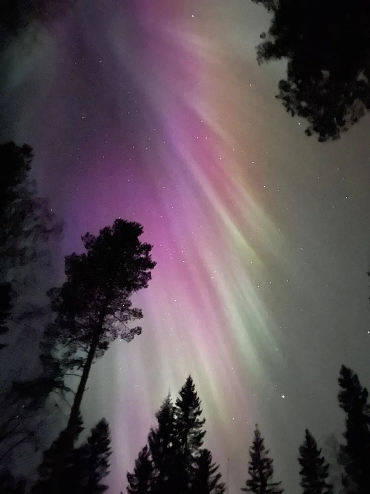 Cabina i Bjuråker – FRISBO LODGE - Romantic Glamping in a dome tent - Lake view – photo 26