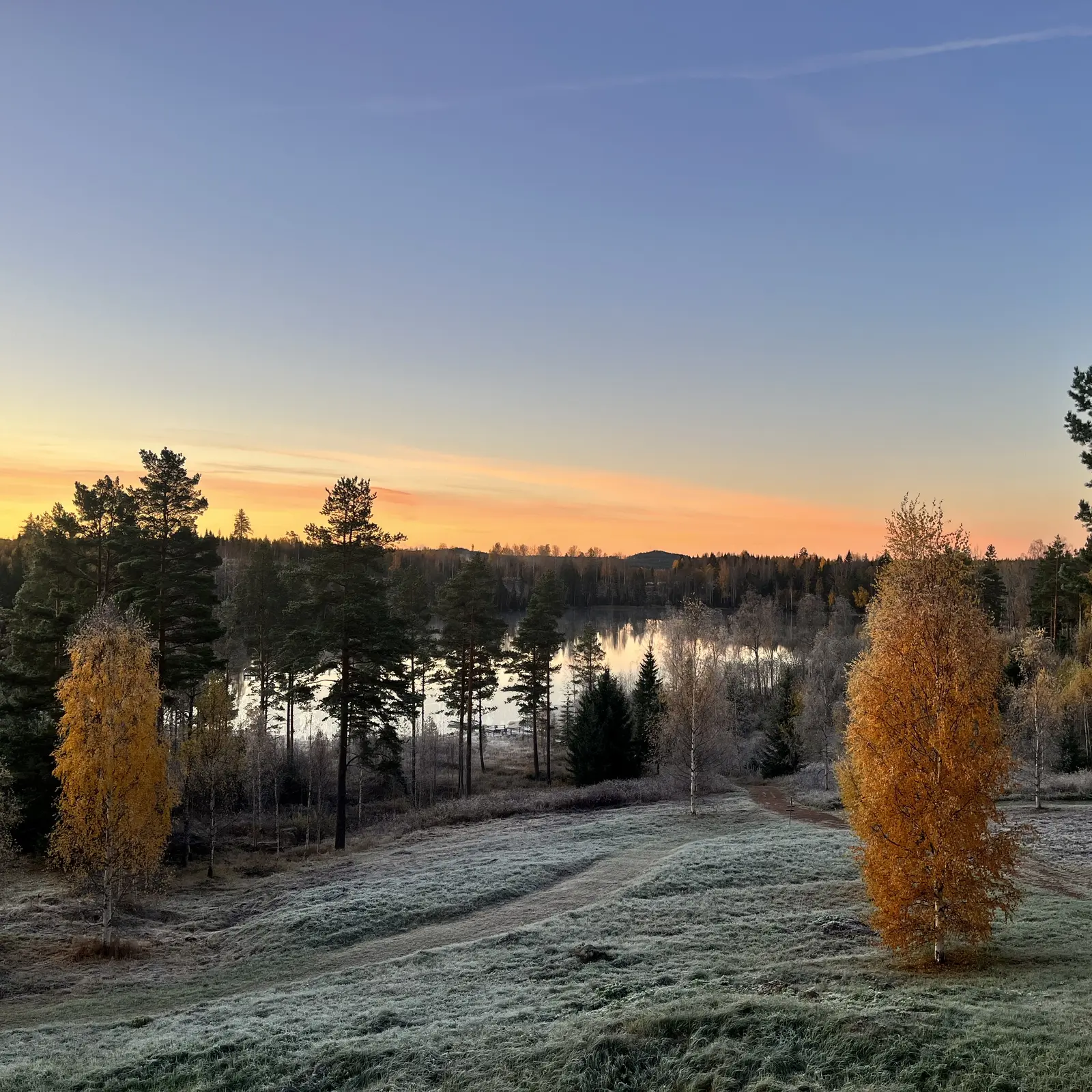 Cabina i Bjuråker – FRISBO LODGE - Romantic Glamping in a dome tent - Lake view – photo 12