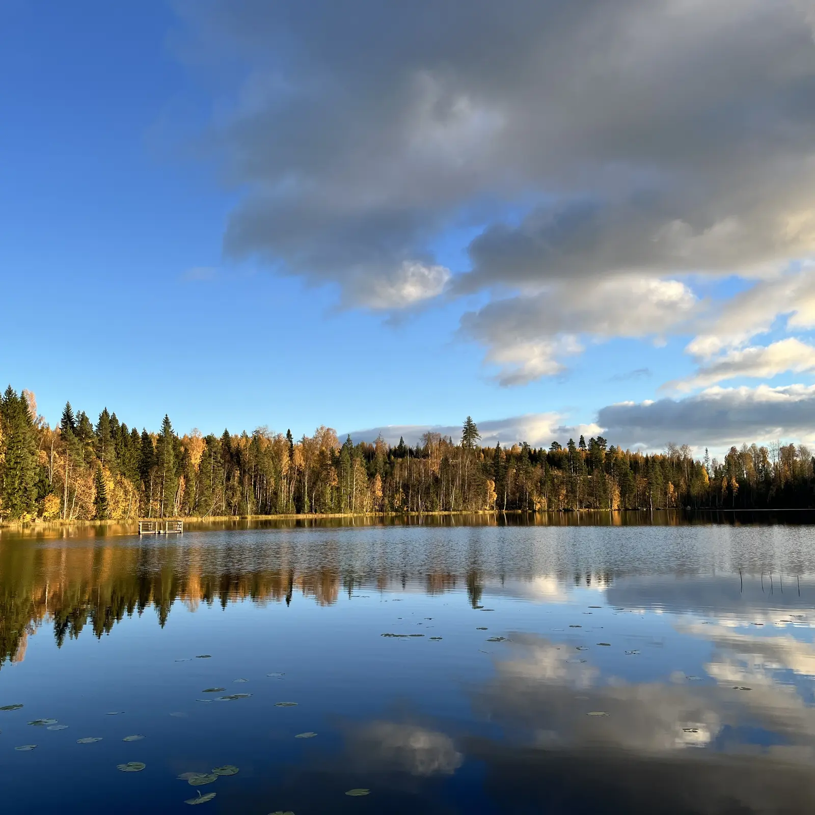 Cabina i Bjuråker – FRISBO LODGE - Romantic Glamping in a dome tent - Lake view – photo 11