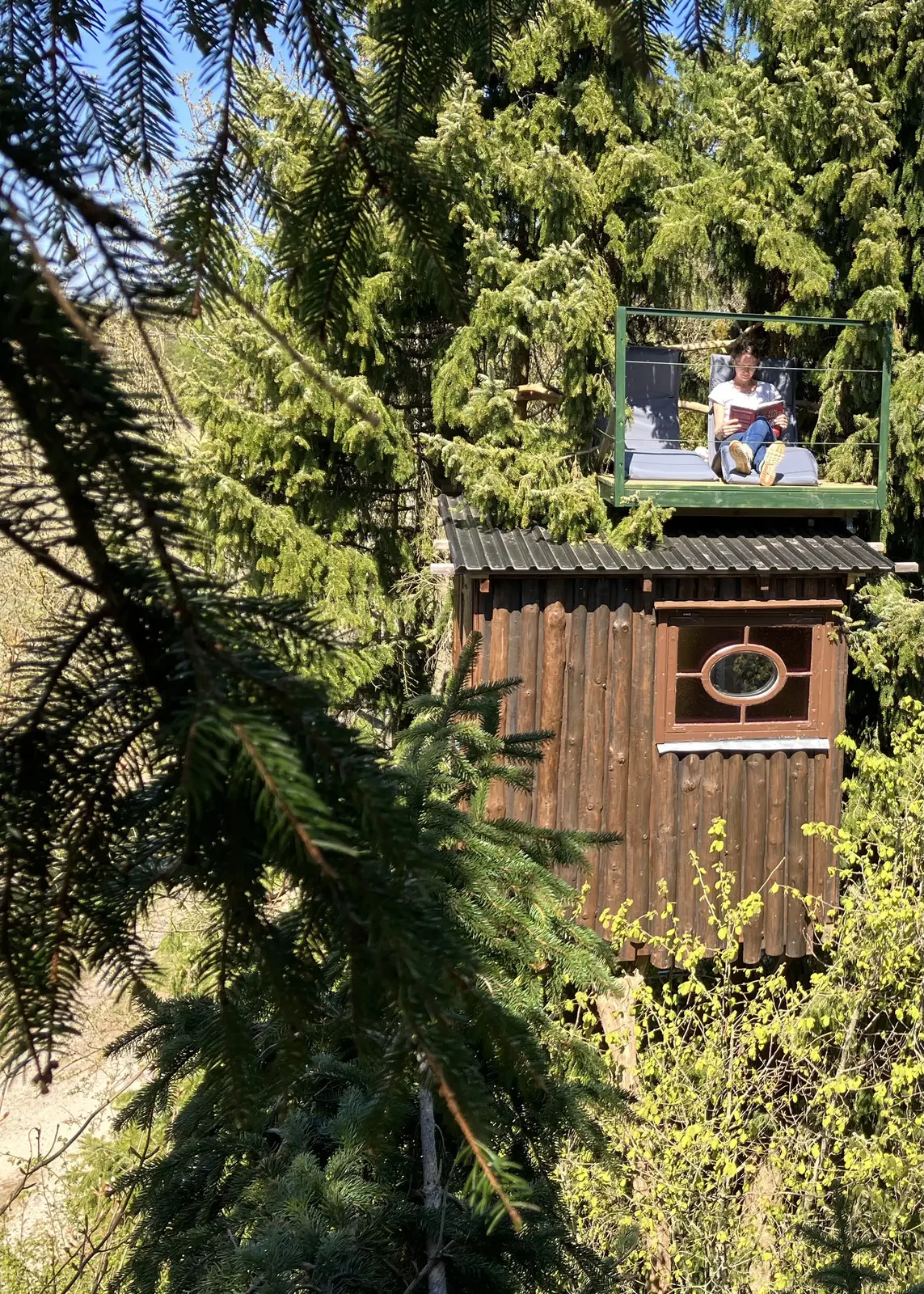 Cabin i Lillerød – Overnat i trætoppen, udsigt til marker og nær ved skov – photo 14