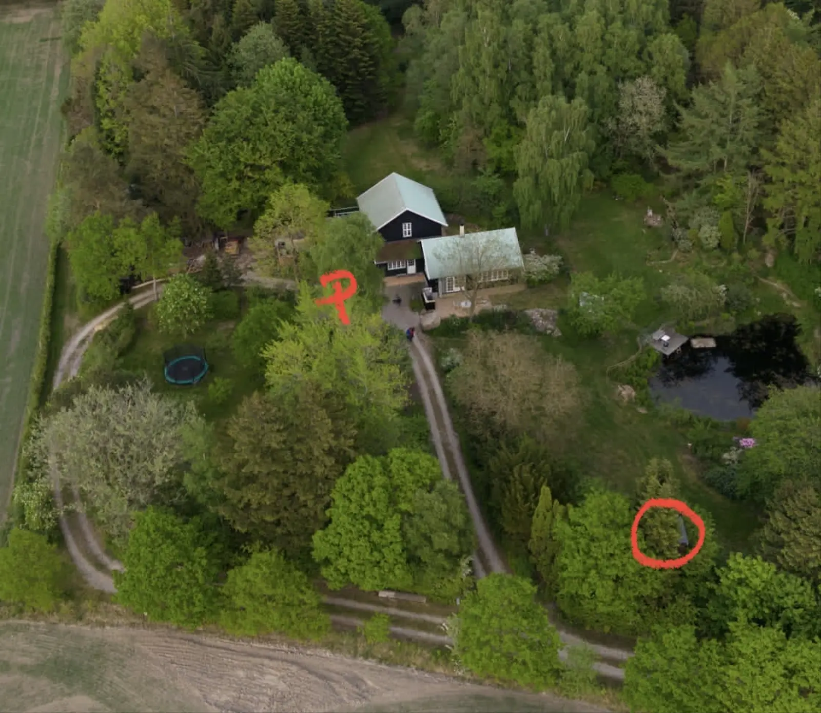 Cabin i Lillerød – Overnat i trætoppen, udsigt til marker og nær ved skov – photo 20