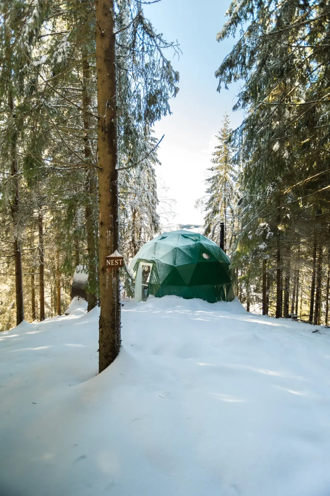 Farm i Fenstad – Dome i granskogen med nydelig utsikt, badstu inkludert