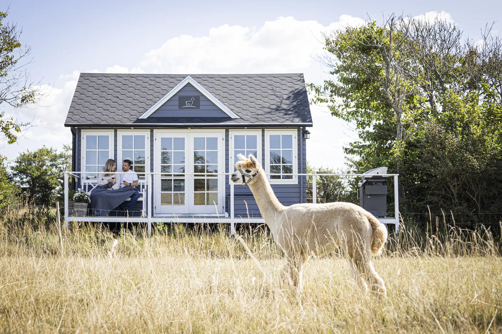 campspace_types.deserted i Løkken – Egeskov´s Alpaca & Cottage - charmerede hytte, smukke solnedgange og flot udsigt