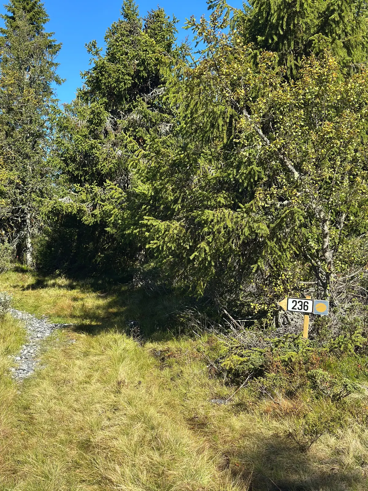 Hütte i Venabygd – Koselig hytte ved Venabygdsfjellet – photo 12