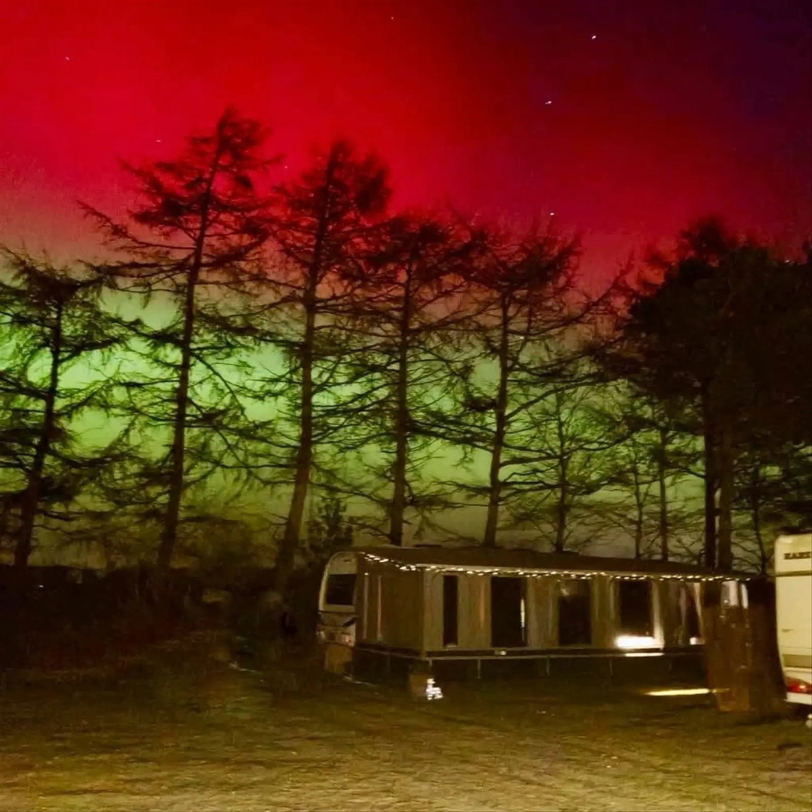 Glamping i Egtved – Glamping i Egtved i Udgård – Op til 4 Personer – photo 10