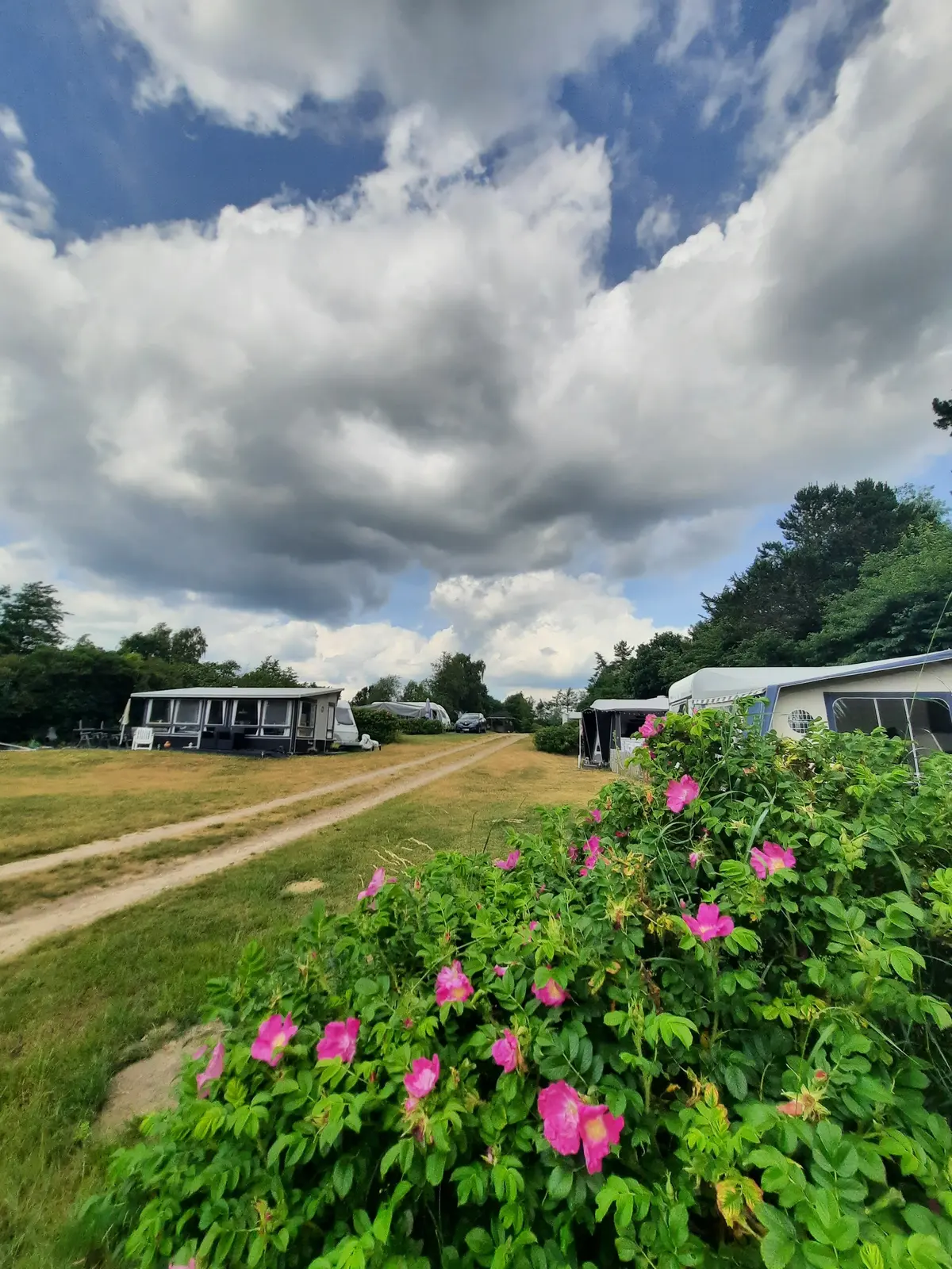 Glamping i Egtved – Glamping i Egtved i Udgård – Op til 4 Personer – photo 11