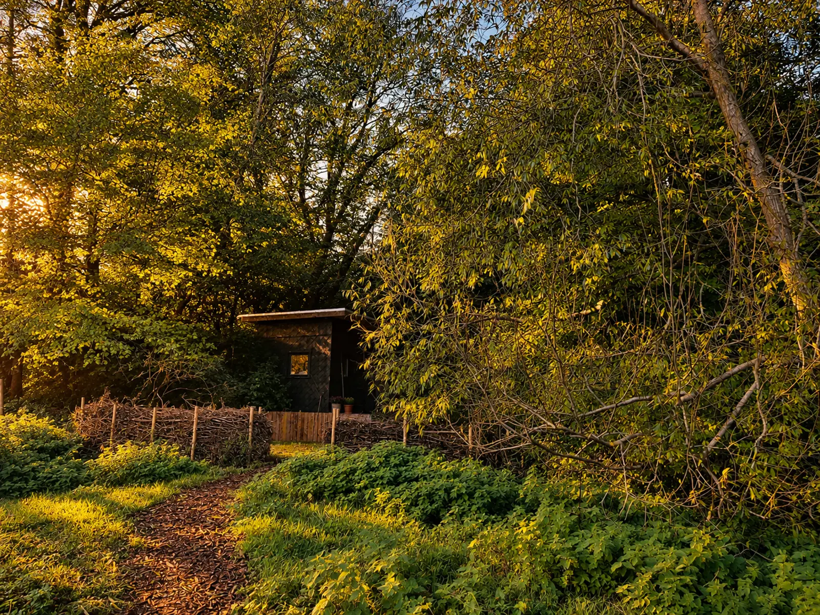 Hütte i Lerbjerg – Tinyhouse i det grønne med sauna  – photo 7