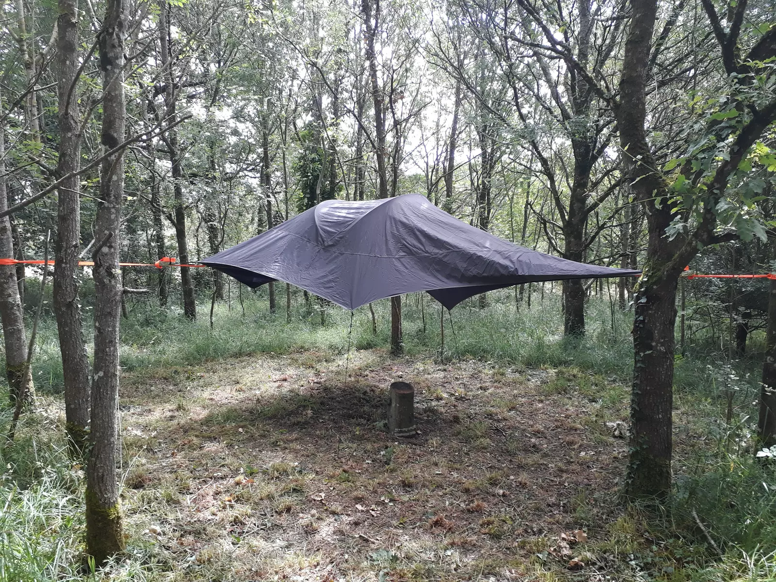 Tente suspendue au coeur du vignoble nantais !
