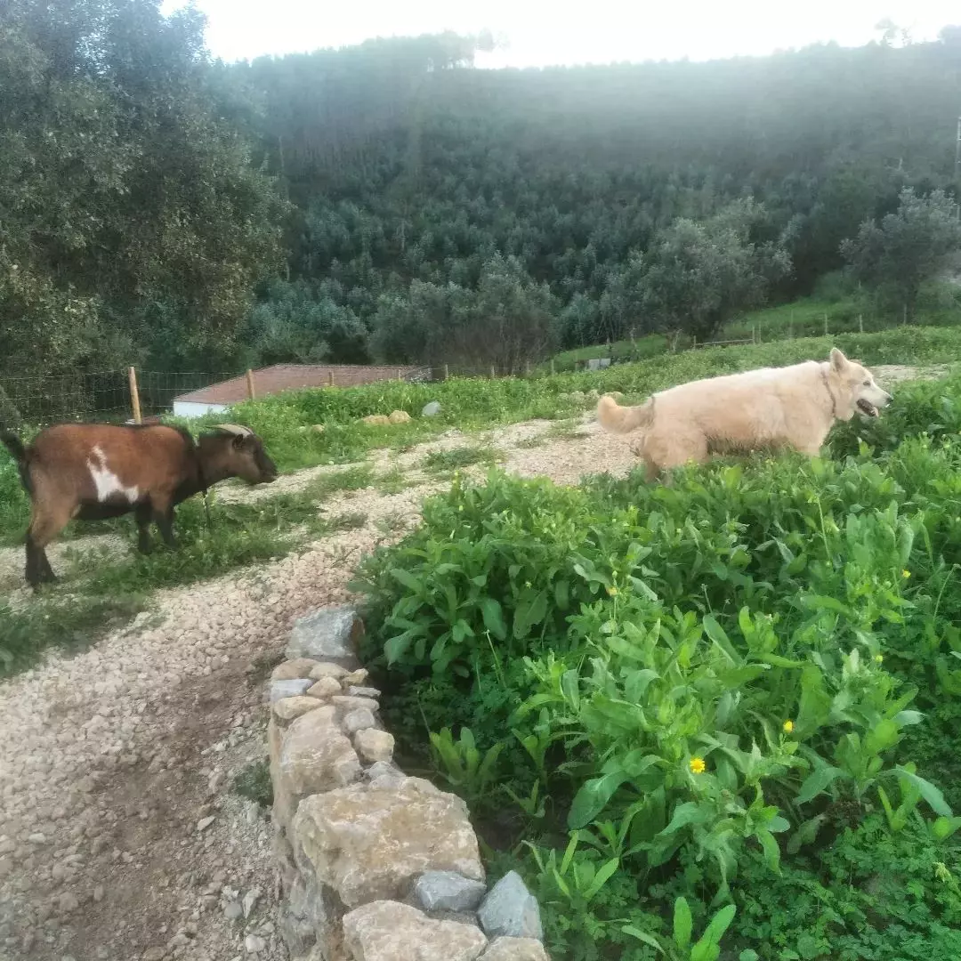 Quinta da Luz