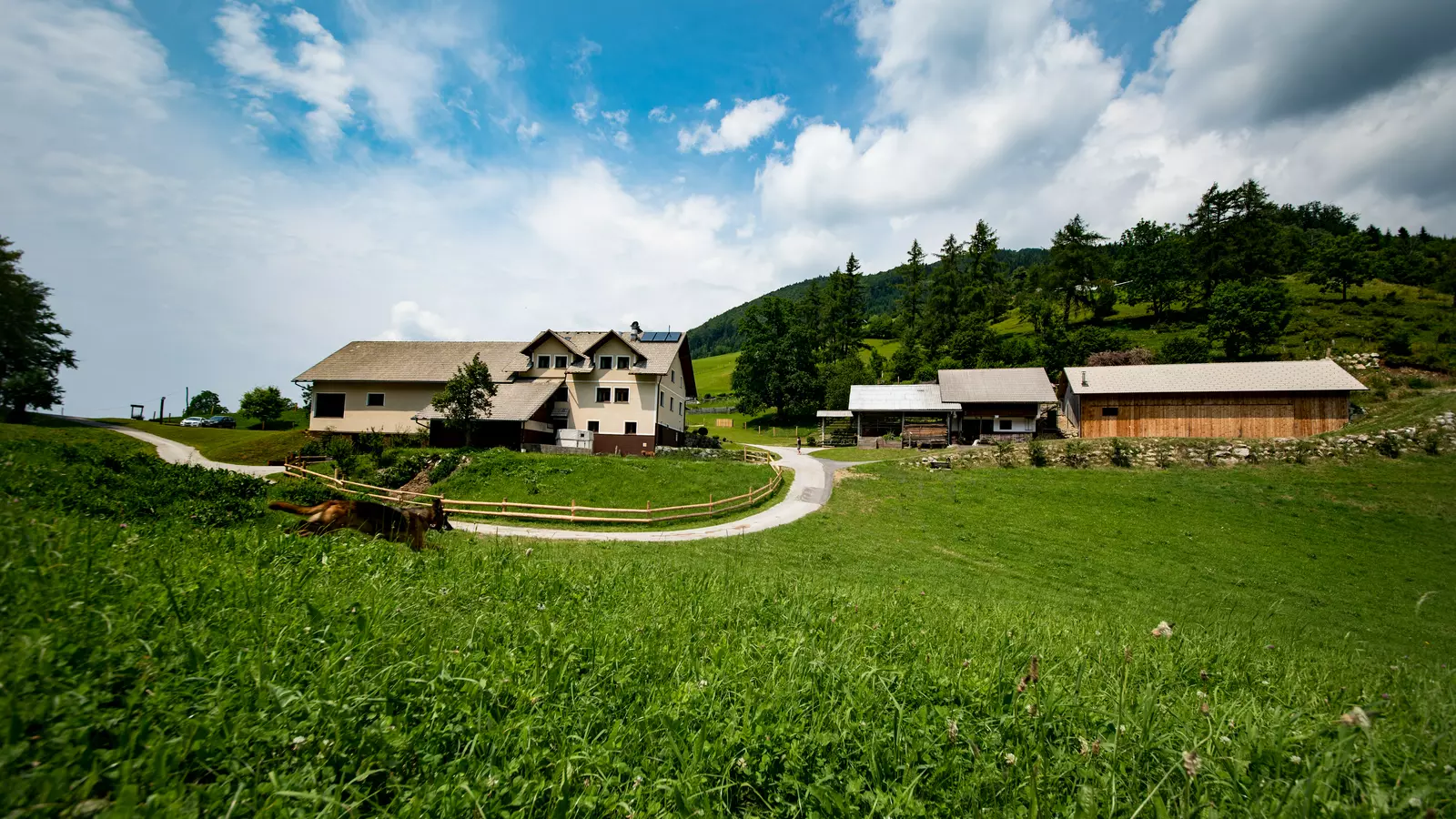 Tourist mountian farm PR` DOVAR