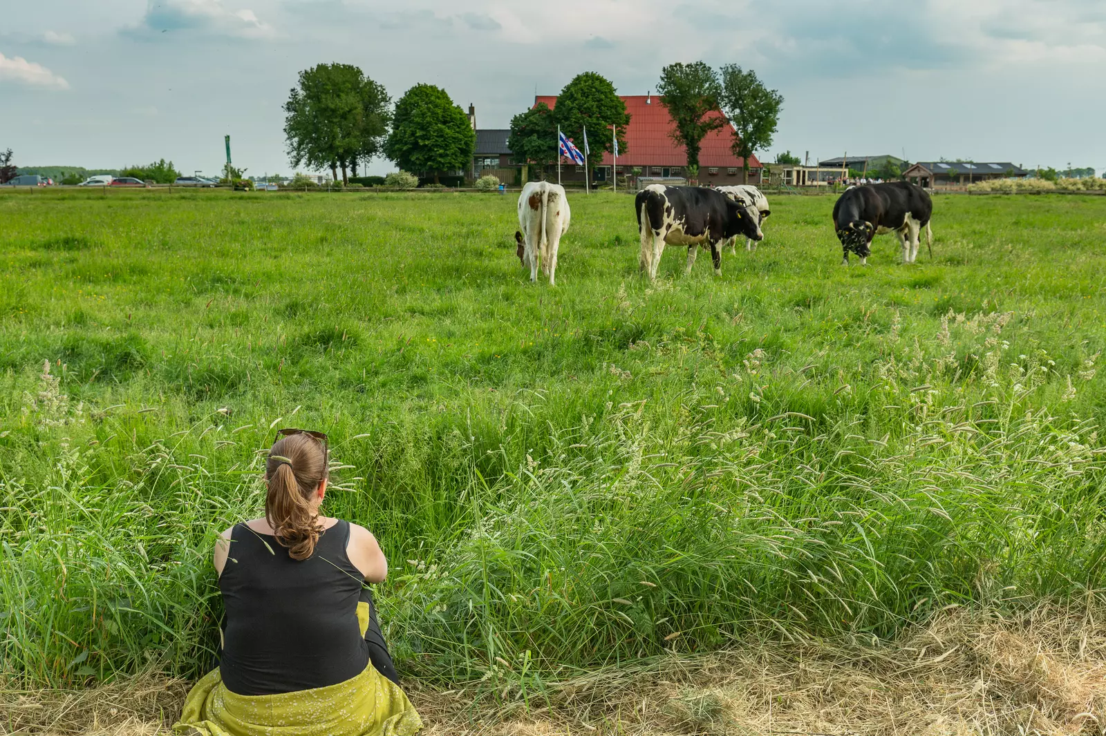 Wartenster's Plattelands Plek