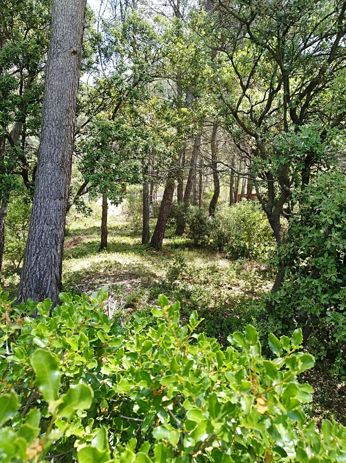 Emplacement camping-car proche d'Aix-en-Provence