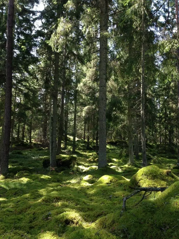 Ösjöbol ställplats