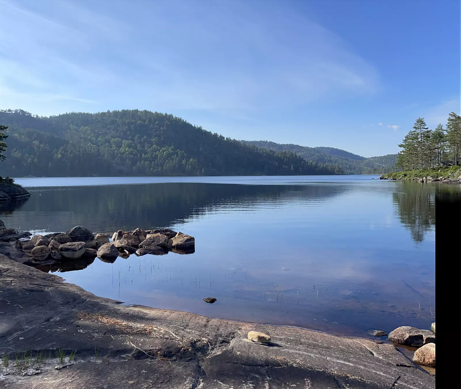 Bobil camp  
tett på naturen og beitende Høylandsfe. Gårdsutsalg.