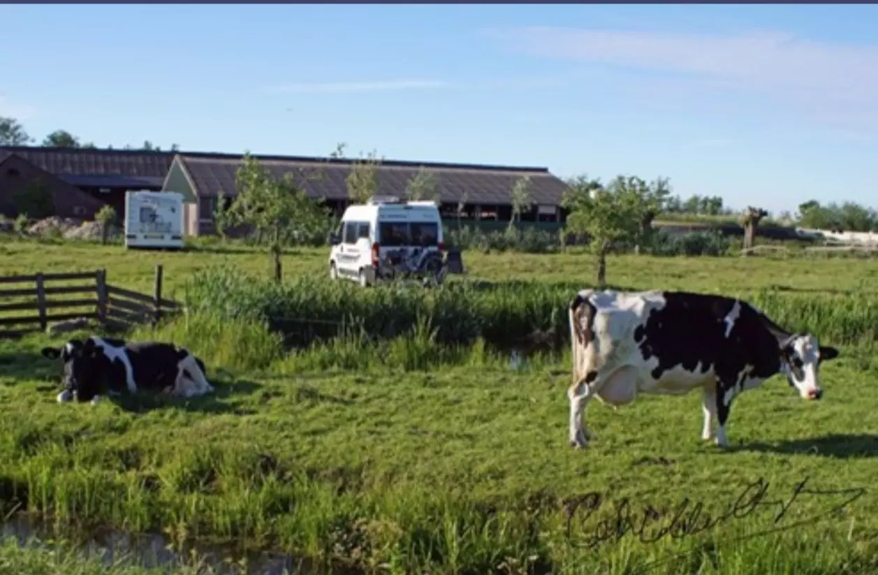 Vlisterhoeve