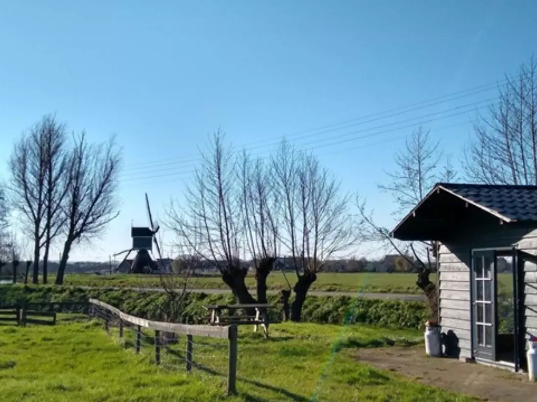 image gallery
