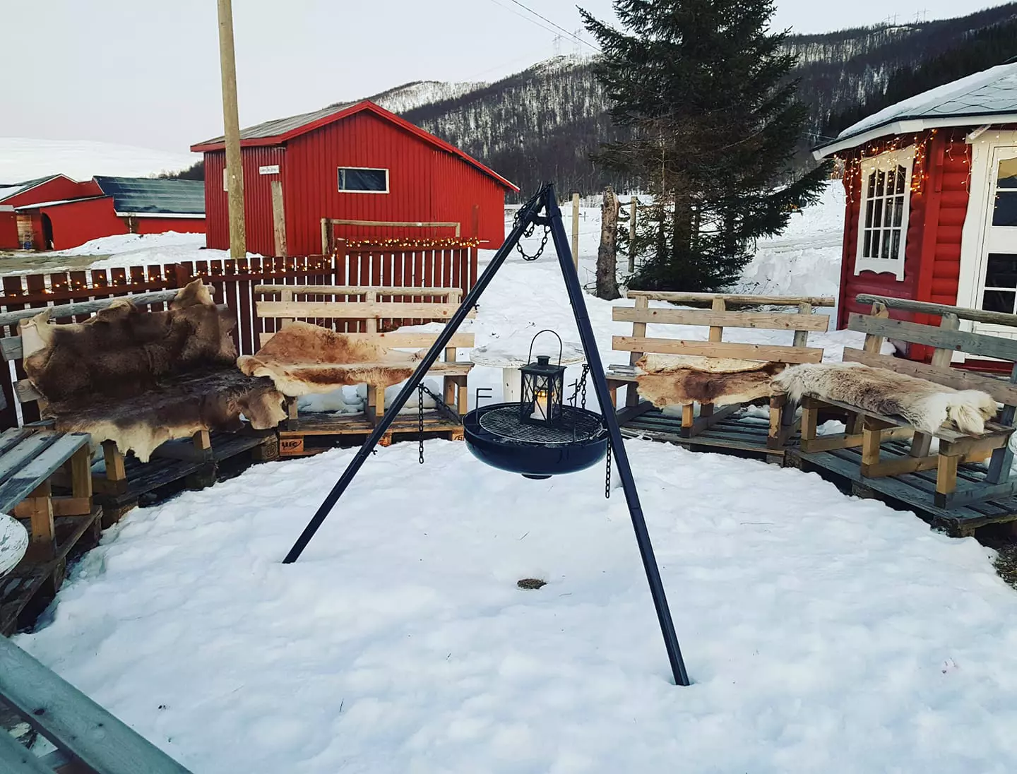 Artisk gårdhus Stall Holtaas