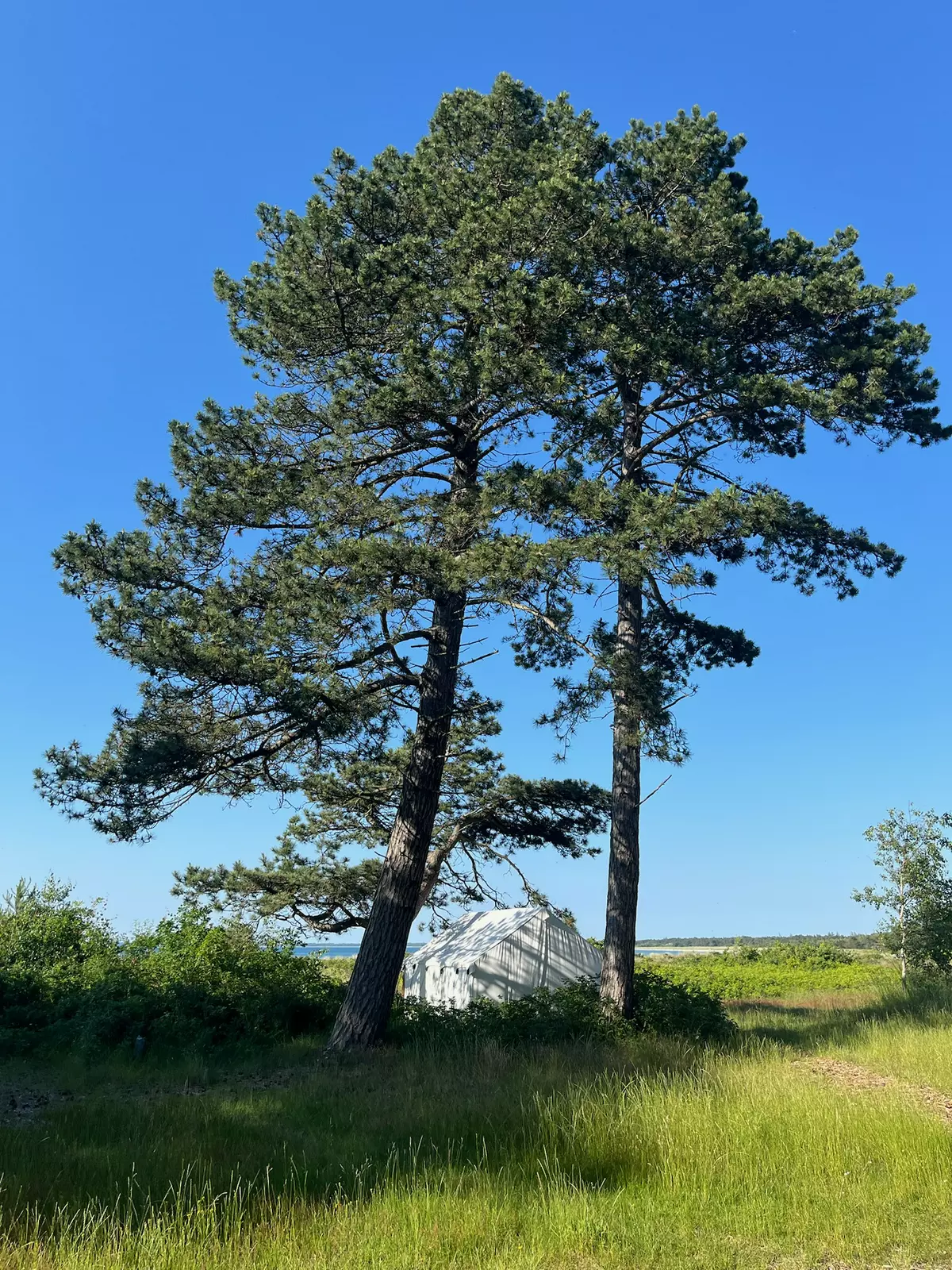 Stranden hos Lillero