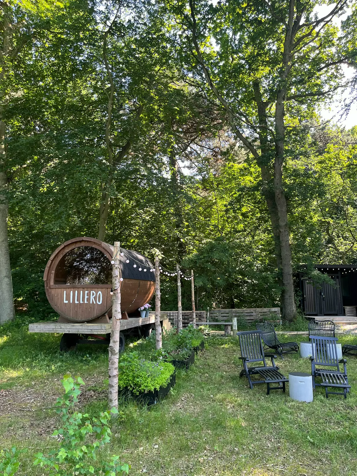 Vandkanten hos Lillero