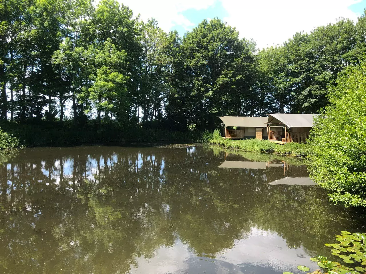 Luxe safaritent aan vijver of met weids uitzicht