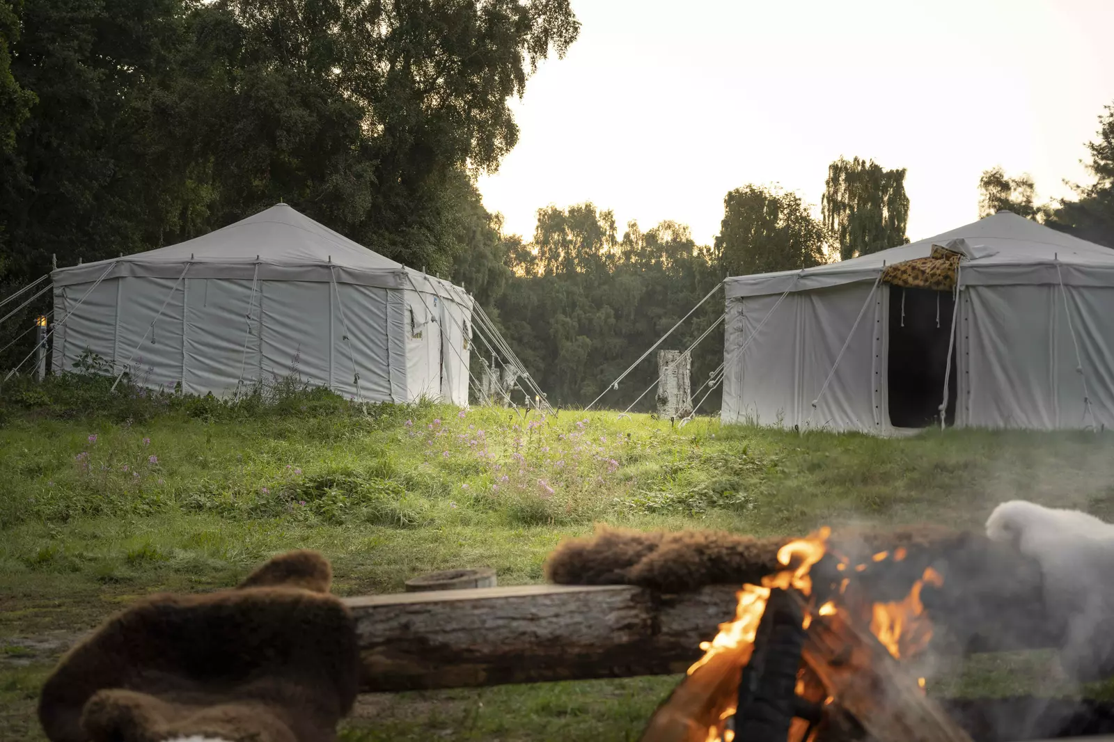 Nordskoven Strand Camping