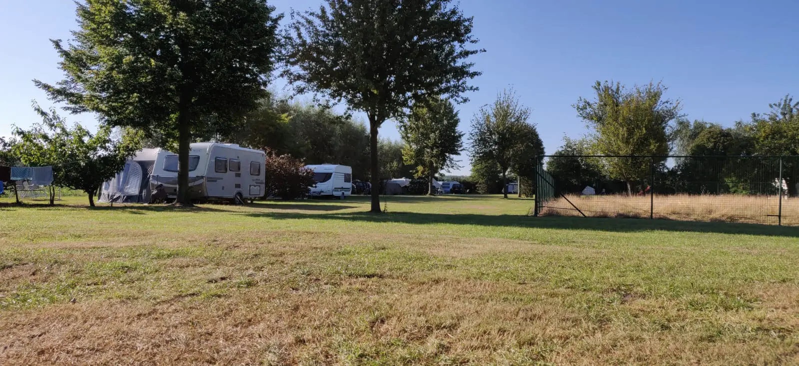 Spacious and natural camping site