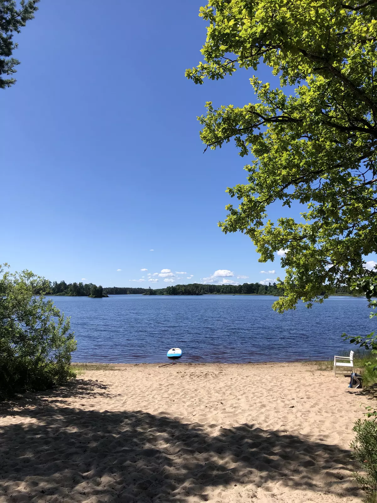 Tree tent overlooking the lake