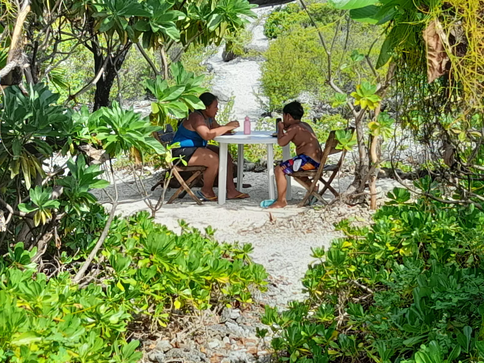 Chaque campeur pourrons bénéficier d'un emplacement d'hébergement avec leur propre matériel