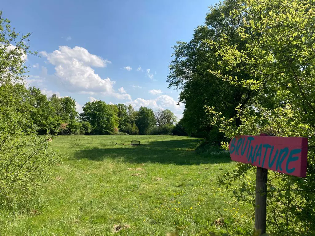 Espace vert et spacieux