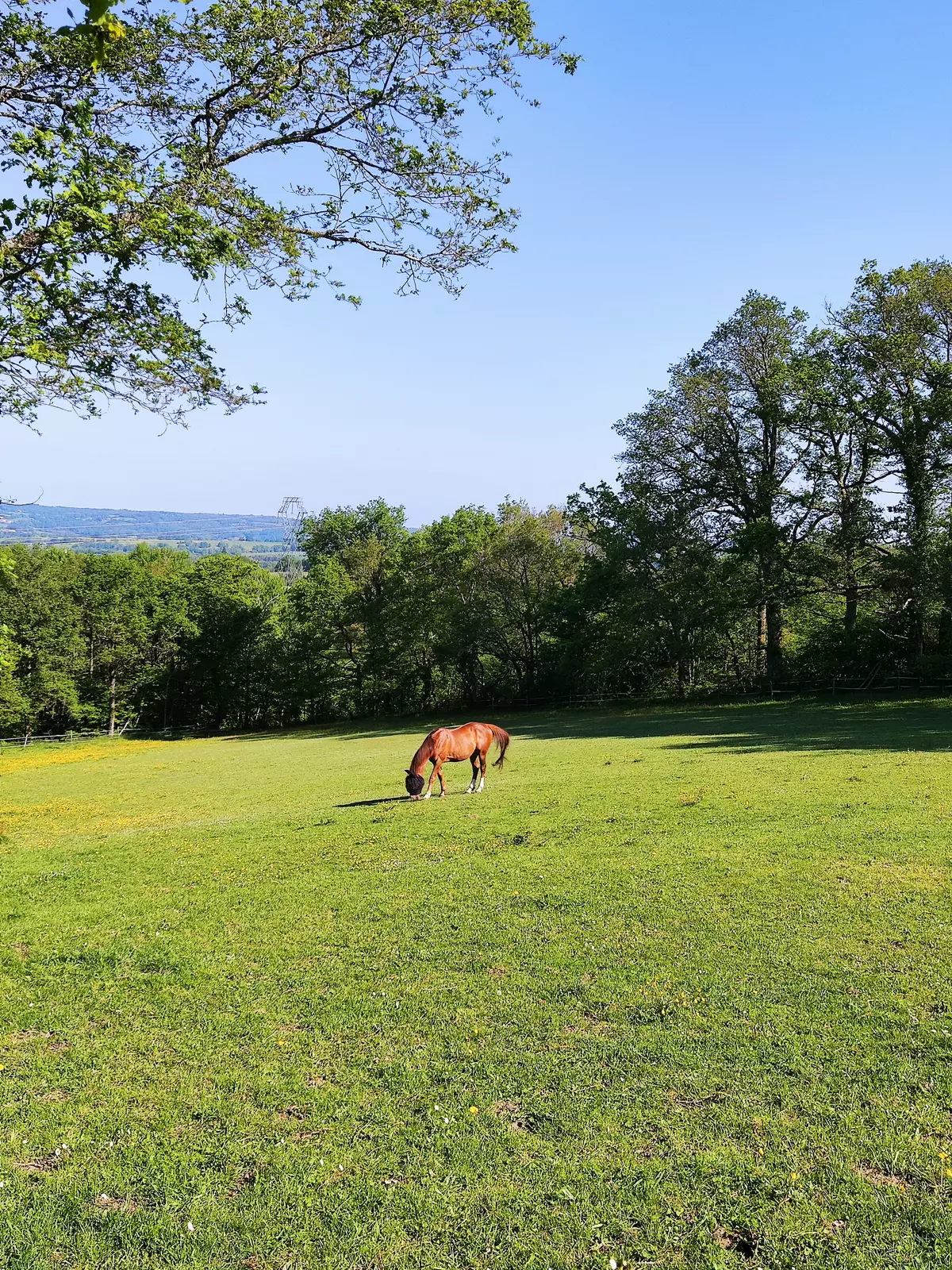 Bella Becca Ranch