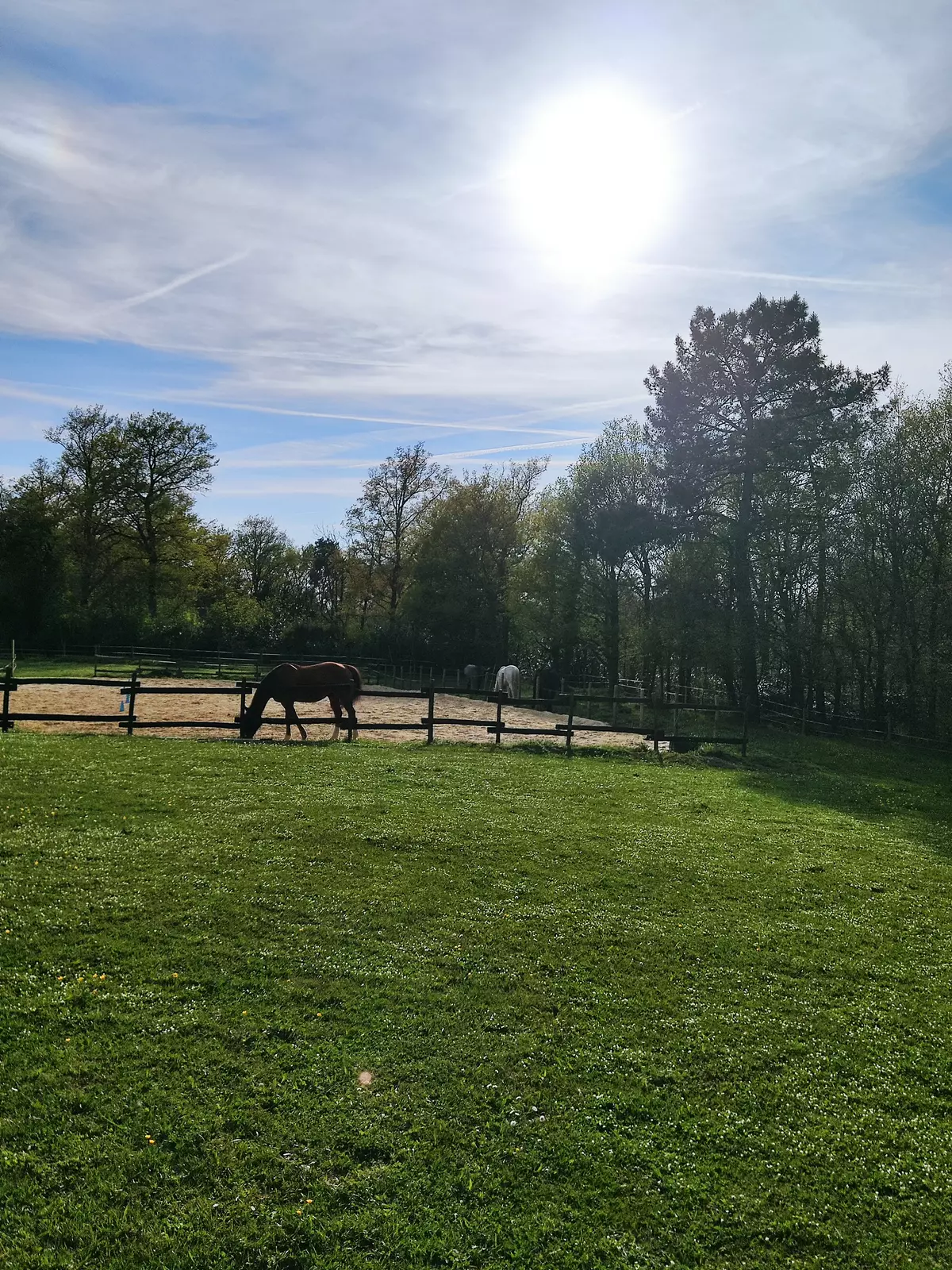 Bella Becca Ranch