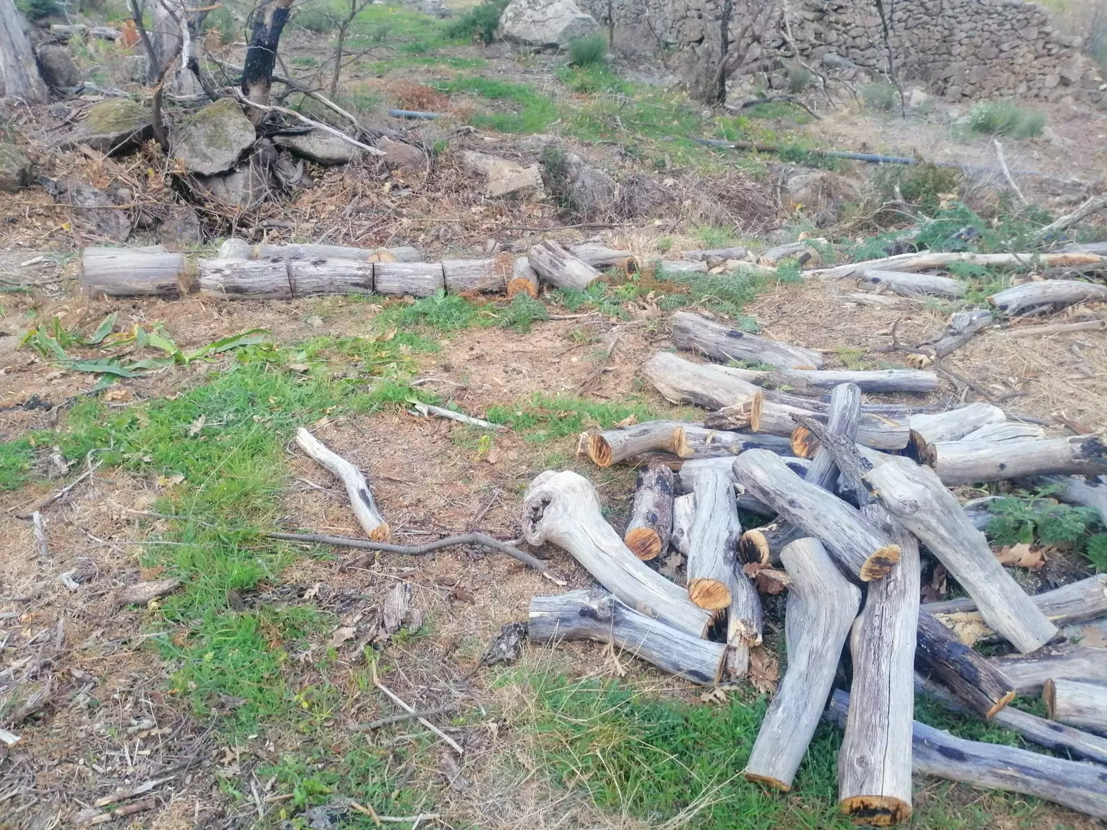Caño de la Madre 