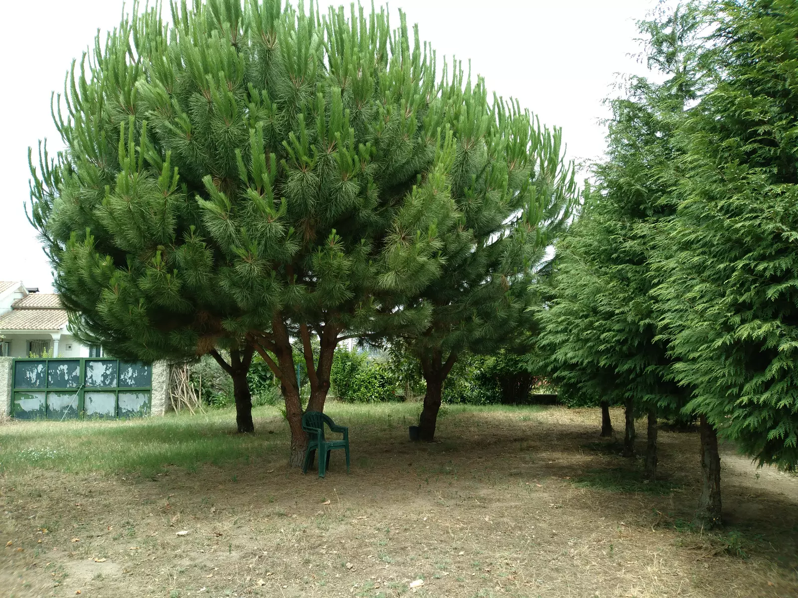 Eco Quintinha das Carvalhas 
