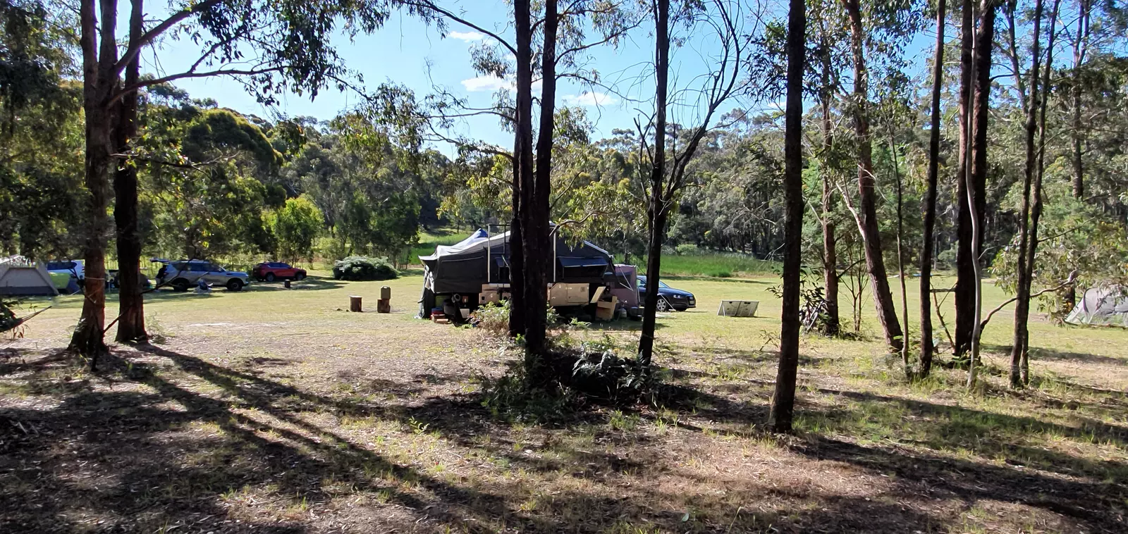 Woodland Camping