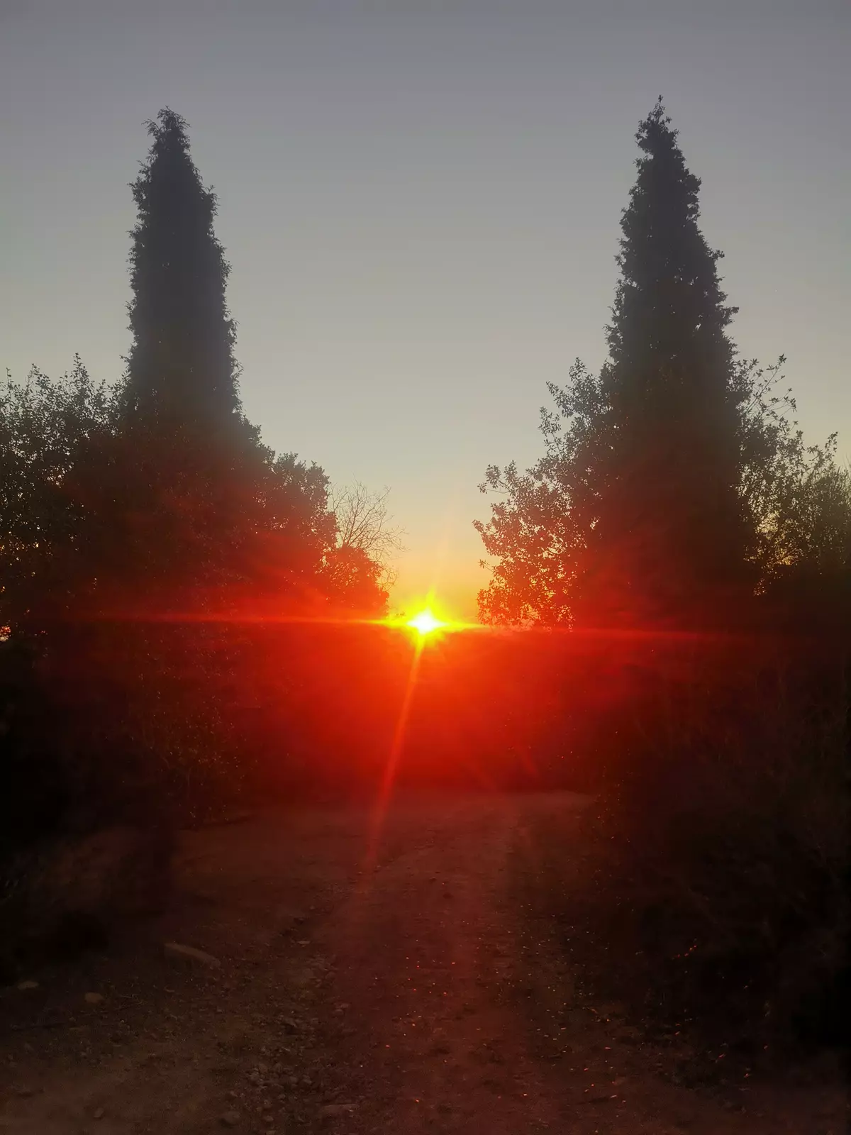 Mas la Badia