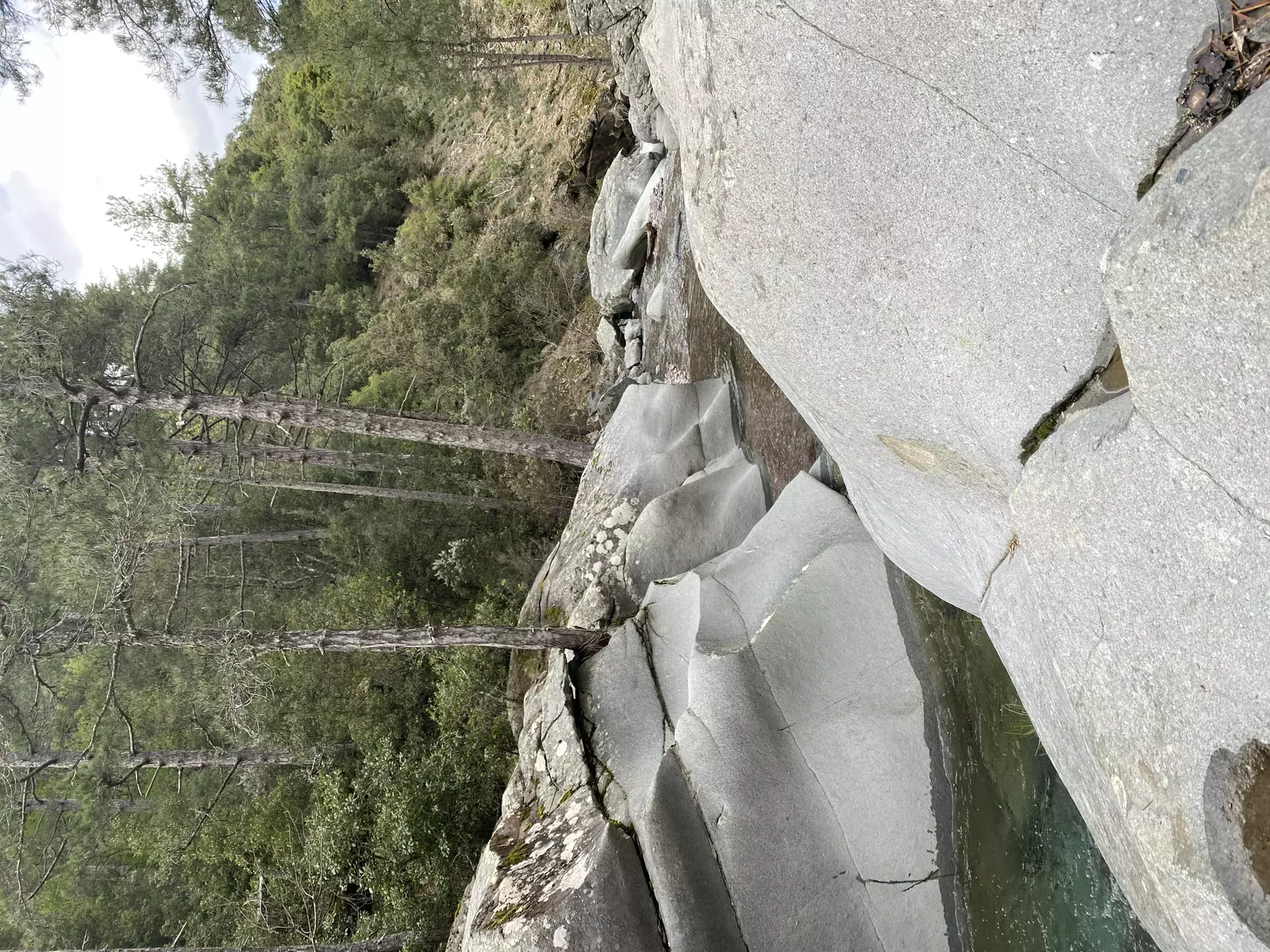 Slide 8