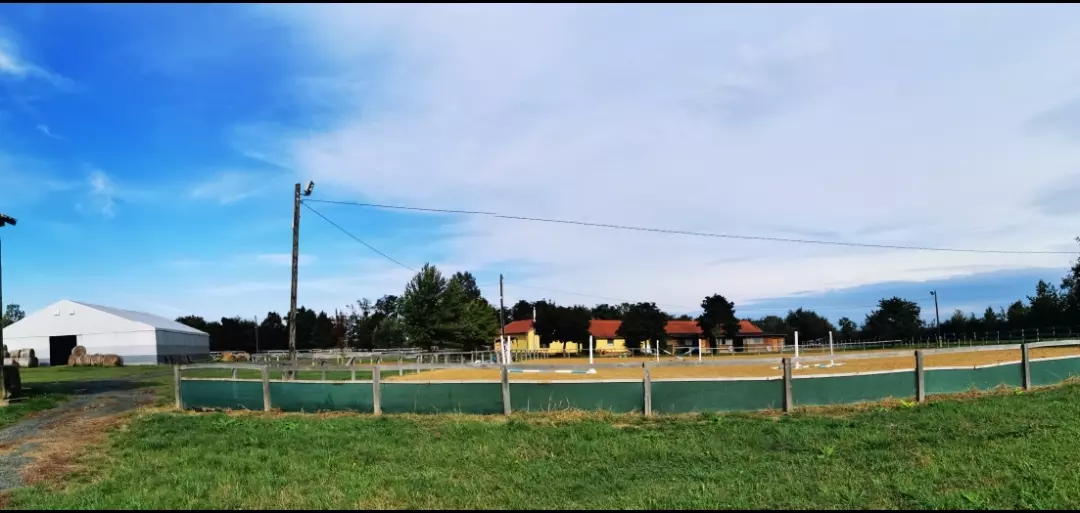 Slide 10