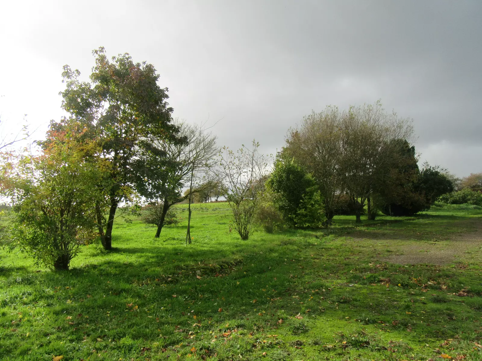Jardin spacieux en centre Bretagne
