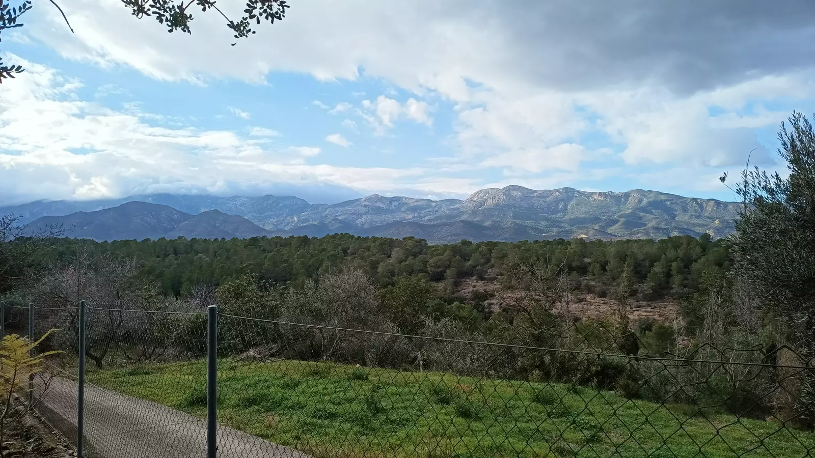 Aldoverde 