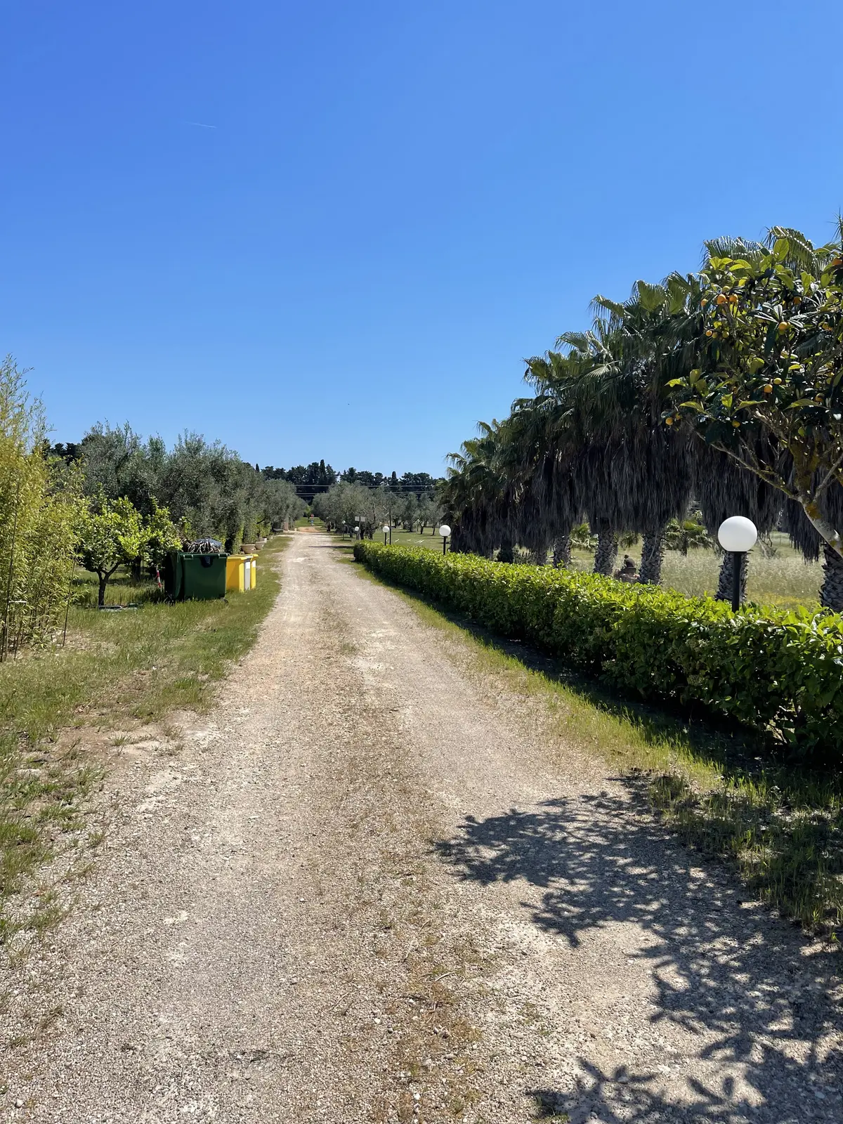 Agricamping 2 Palme