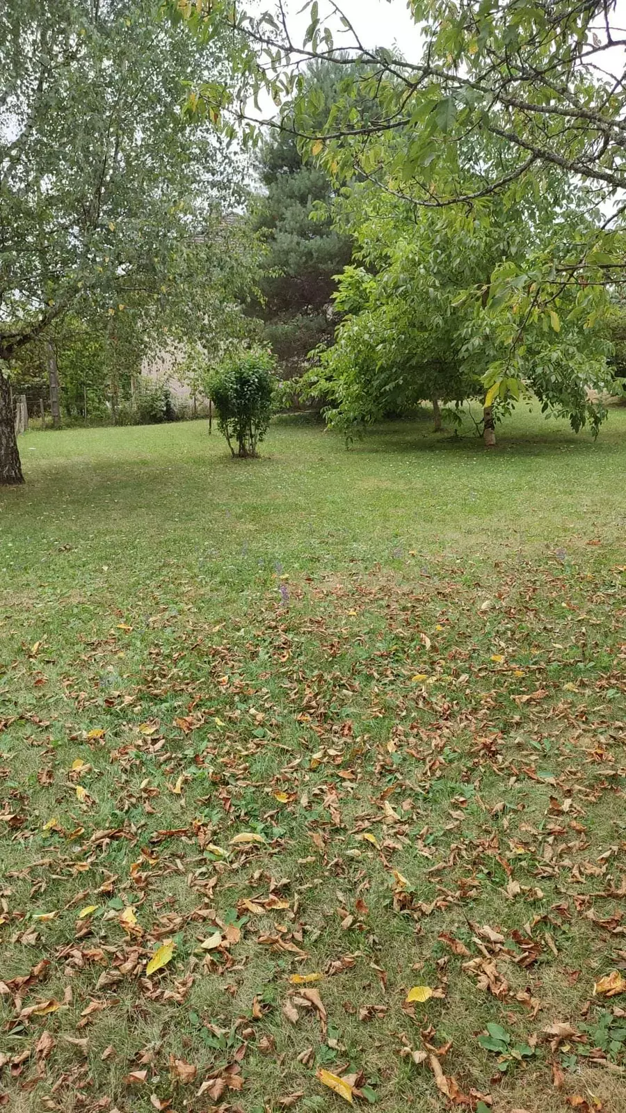 Camping à la ferme