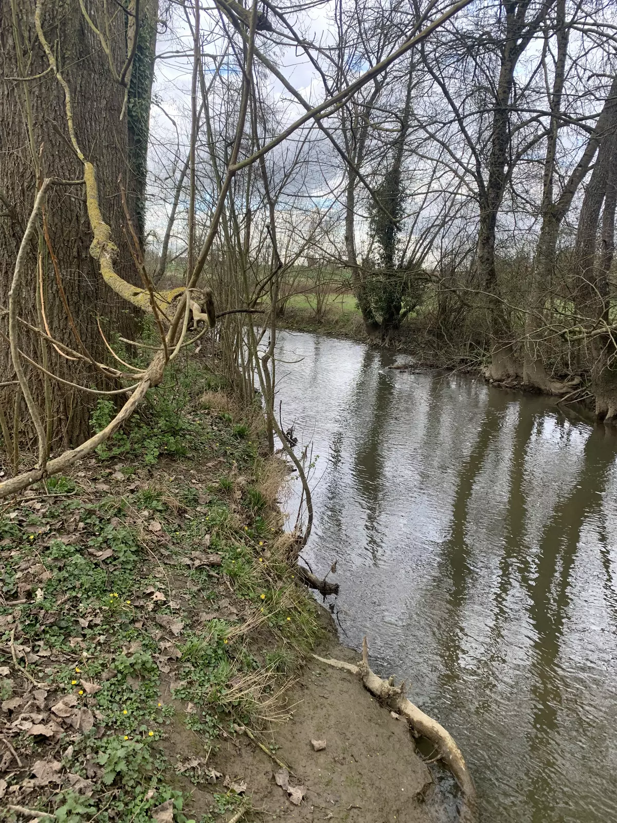 Prairie en bord de rivière 