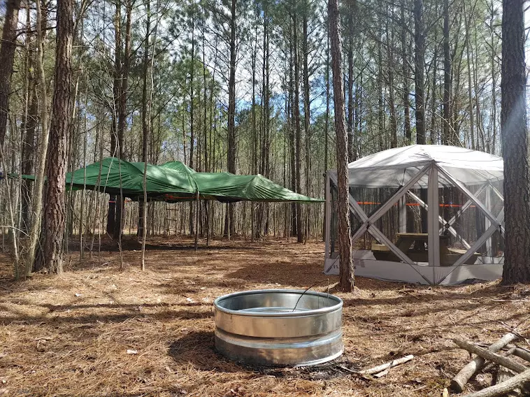 Guinea Farm, Field, and forest
